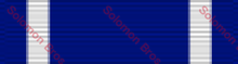 Load image into Gallery viewer, Nato Medal - Solomon Brothers Apparel