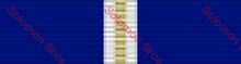 Load image into Gallery viewer, Nato Medal - Solomon Brothers Apparel
