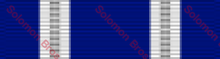Load image into Gallery viewer, Nato Medal - Solomon Brothers Apparel
