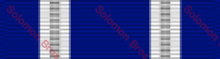 Load image into Gallery viewer, Nato Medal - Solomon Brothers Apparel