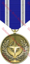 Load image into Gallery viewer, Nato Medal - Solomon Brothers Apparel