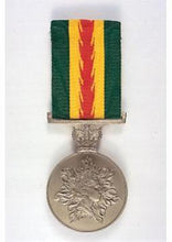 Load image into Gallery viewer, Australian Fire Service Medal - Solomon Brothers Apparel

