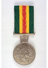 Load image into Gallery viewer, Australian Fire Service Medal - Solomon Brothers Apparel