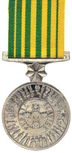 Load image into Gallery viewer, Public Service Medal - Solomon Brothers Apparel
