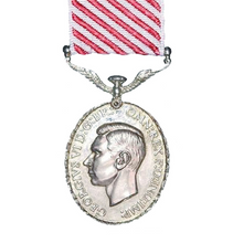 Load image into Gallery viewer, Air Force Medal - Solomon Brothers Apparel