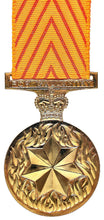 Load image into Gallery viewer, Medal for Gallantry - Solomon Brothers Apparel
