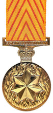 Load image into Gallery viewer, Medal for Gallantry - Solomon Brothers Apparel