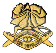 Load image into Gallery viewer, Norforce Badge - Solomon Brothers Apparel