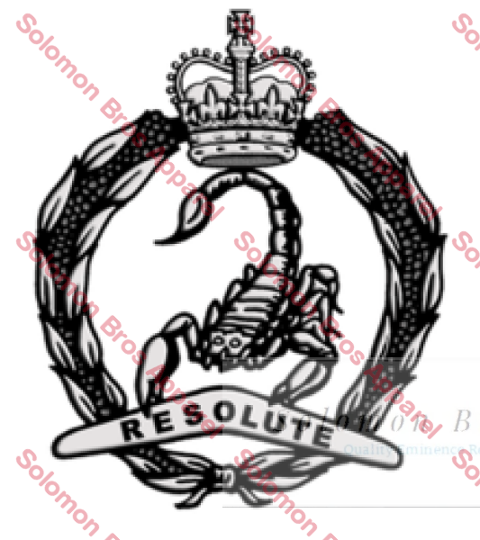 3rd/4th Cavalry Regiment Cap Badge - Solomon Brothers Apparel