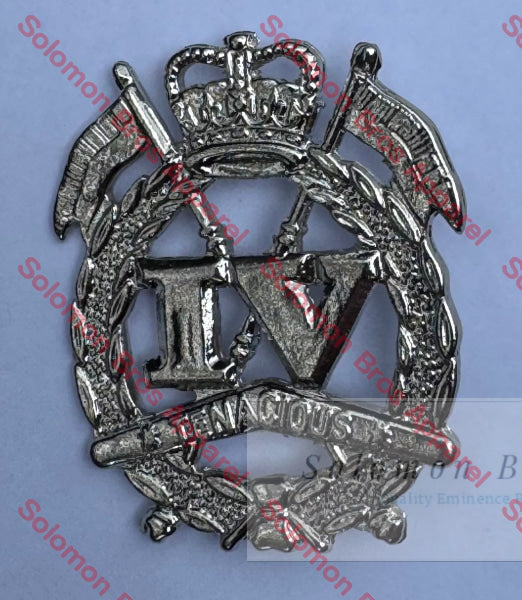 4th Cavalry Regiment Cap Badge Medals