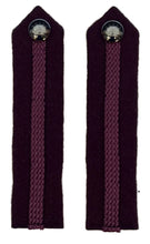 Load image into Gallery viewer, Army Gorget, Brigadier/Colonel, Large - Solomon Brothers Apparel

