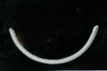 Load image into Gallery viewer, St. John Ambulance Peaked Cap
