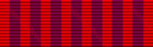 Bravery Medal - Solomon Brothers Apparel