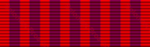 Bravery Medal - Solomon Brothers Apparel