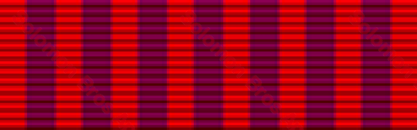 Bravery Medal - Solomon Brothers Apparel