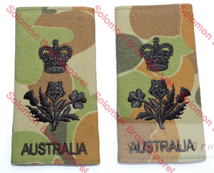 Insignia, State Governor, Army - Solomon Brothers Apparel
