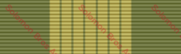 National Emergency Medal - Solomon Brothers Apparel