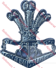 Load image into Gallery viewer, Prince Of Wales Light Horse Cap Badge Medals
