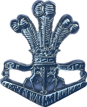 Load image into Gallery viewer, Prince Of Wales Light Horse Cap Badge Medals
