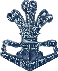 Prince Of Wales Light Horse Cap Badge Medals