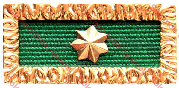 Unit Citation for Gallantry - Solomon Brothers Apparel