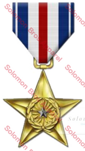 US Silver Star - Solomon Brothers Apparel