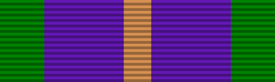 British Accumulated Campaign Service Medal - Solomon Brothers Apparel