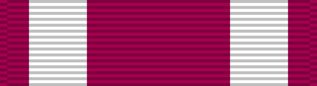 US Meritorious Service Medal - Solomon Brothers Apparel
