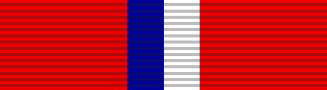 Phillipines Liberation Medal - Solomon Brothers Apparel