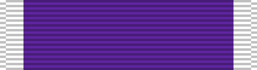 US Purple Heart - Solomon Brothers Apparel