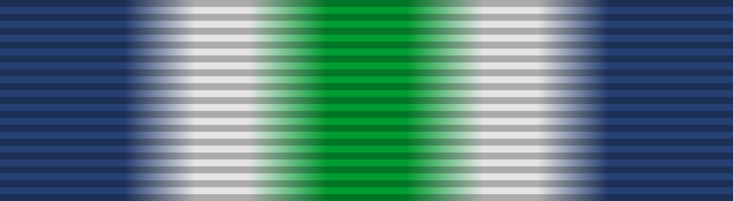 South Atlantic Medal 1992 - Solomon Brothers Apparel