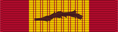 US Vietnam Cross of Gallantry - Solomon Brothers Apparel