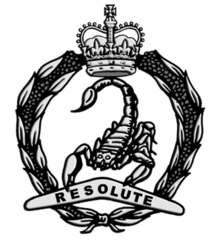 3rd/4th Cavalry Regiment Cap Badge - Solomon Brothers Apparel