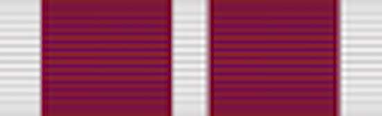 British Meritorious Service Medal Air Force 1918-1928 - Solomon Brothers Apparel