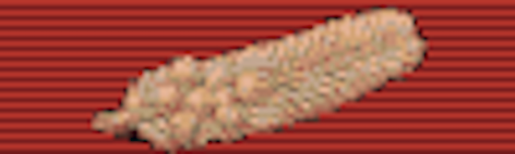 Commendation for Brave Conduct - Solomon Brothers Apparel