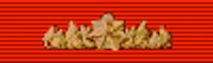Commendation for Gallantry - Solomon Brothers Apparel