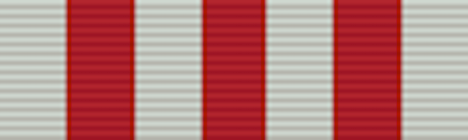 Distinguished Service Medal - Solomon Brothers Apparel