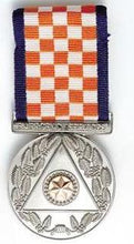 Load image into Gallery viewer, Emergency Services Medal - Solomon Brothers Apparel
