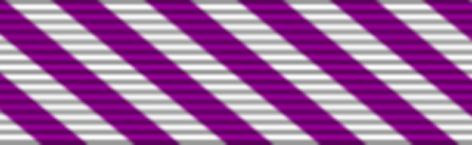 Distinguished Flying Medal - Solomon Brothers Apparel