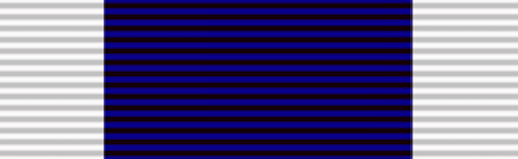 Navy Long Service & Good Conduct - Solomon Brothers Apparel