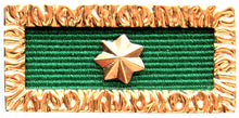 Load image into Gallery viewer, Unit Citation for Gallantry - Solomon Brothers Apparel
