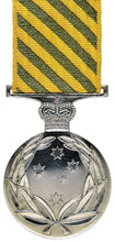 Load image into Gallery viewer, Conspicuous Service Medal - Solomon Brothers Apparel
