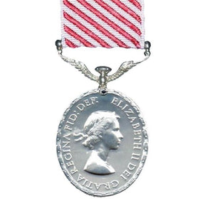 Air Force Medal - Solomon Brothers Apparel