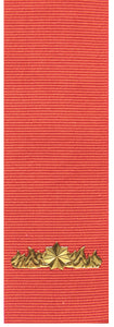 Commendation for Gallantry - Solomon Brothers Apparel