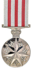 Load image into Gallery viewer, Distinguished Service Medal - Solomon Brothers Apparel
