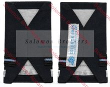 Load image into Gallery viewer, Insignia, AAFC, Flying Officer, RAAF Cadet - Solomon Brothers Apparel
