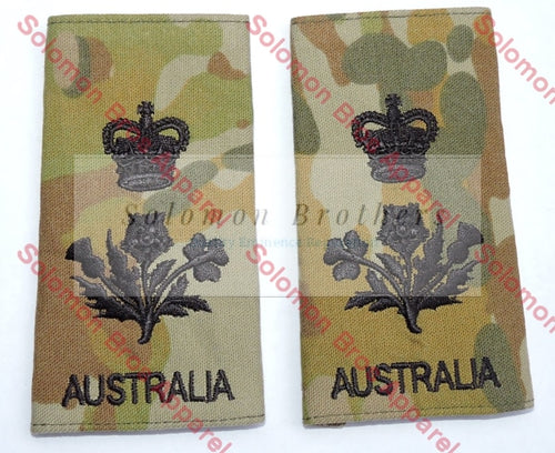Insignia, State Governor, Army - Solomon Brothers Apparel