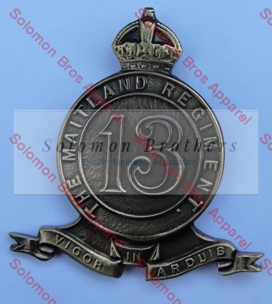 Maitland Regiment 13 Cap Badge Medals