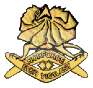 Norforce Badge - Solomon Brothers Apparel